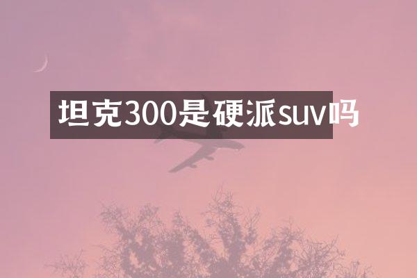 坦克300是硬派suv吗