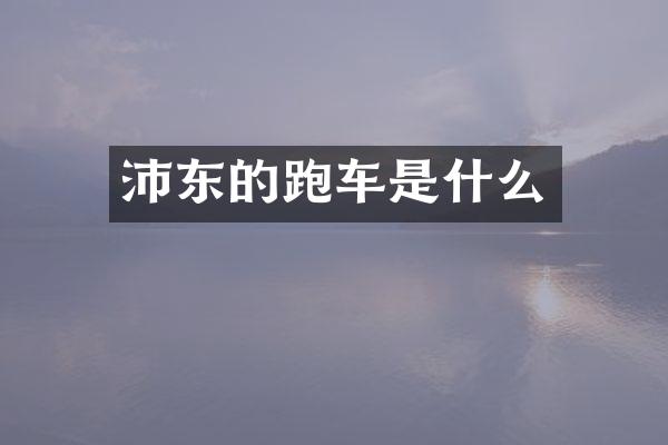 沛东的跑车是什么