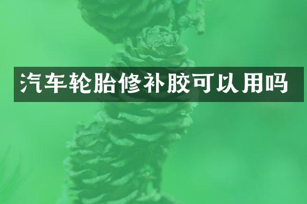 汽车轮胎修补胶可以用吗