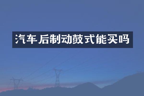 汽车后制动鼓式能买吗