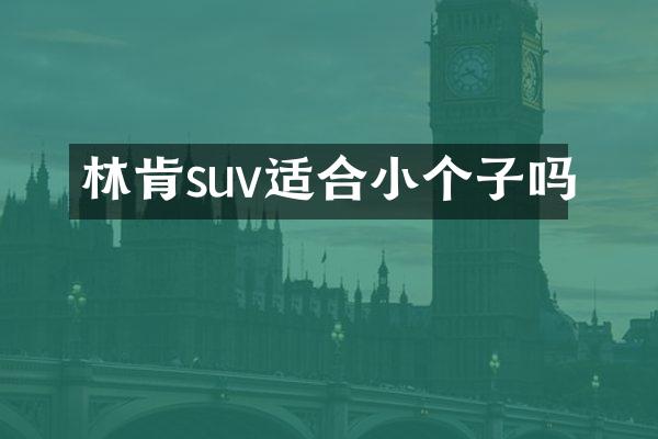 林肯suv适合小个子吗