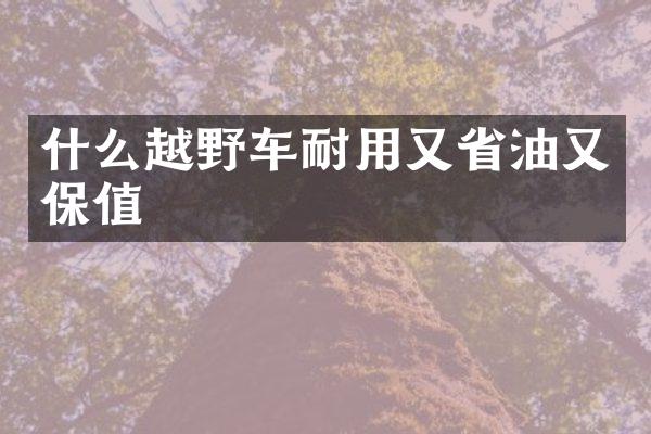 什么越野车耐用又省油又保值