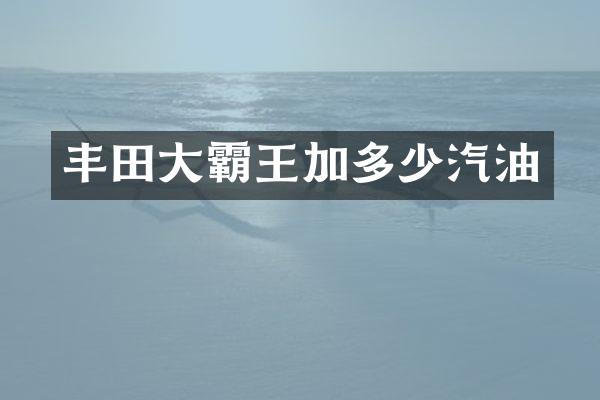丰田大霸王加多少汽油