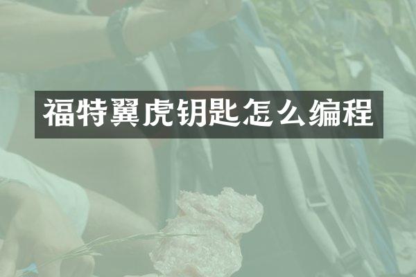 福特翼虎钥匙怎么编程