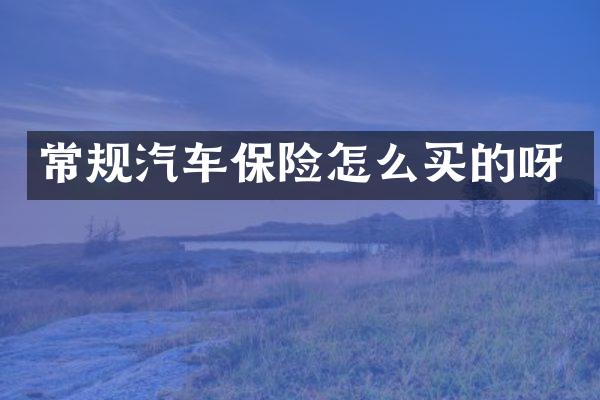 常规汽车保险怎么买的呀