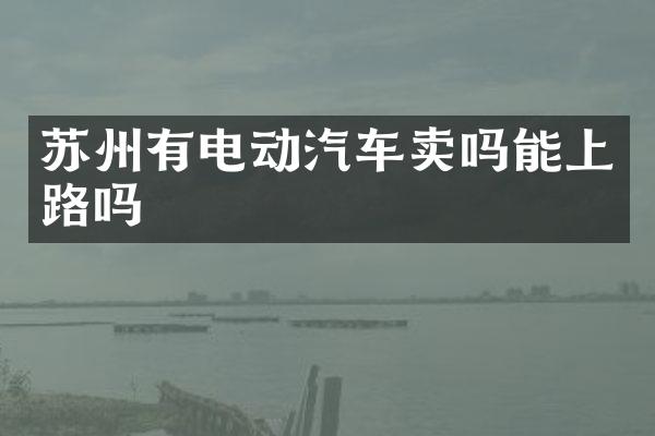 苏州有电动汽车卖吗能上路吗
