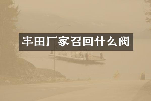 丰田厂家召回什么阀
