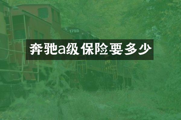 奔驰a级保险要多少
