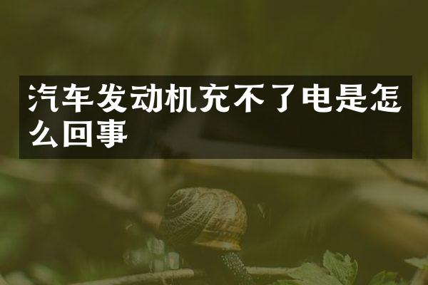 汽车发动机充不了电是怎么回事