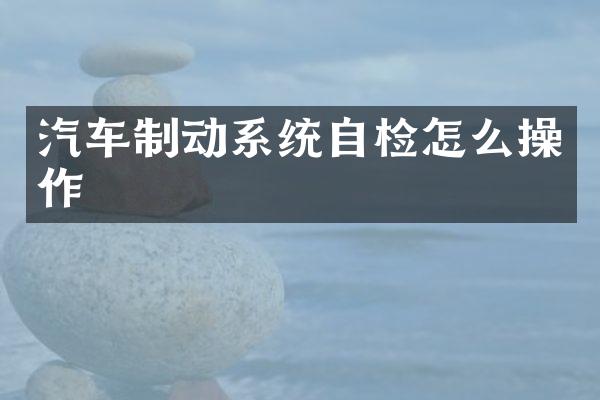 汽车制动系统自检怎么操作