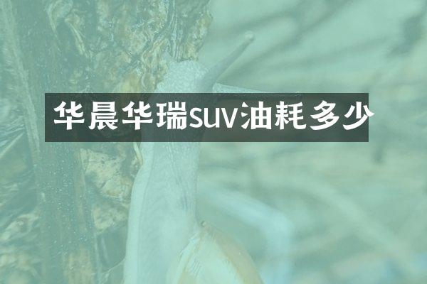 华晨华瑞suv油耗多少