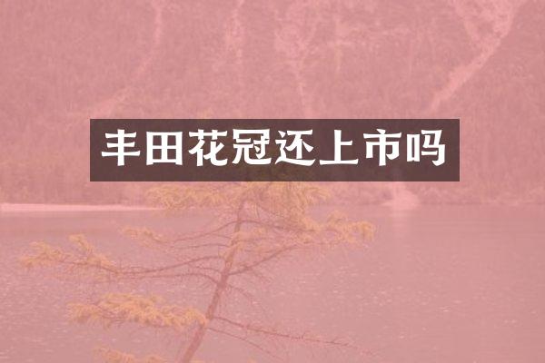 丰田花冠还上市吗
