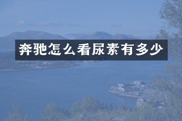 奔驰怎么看尿素有多少