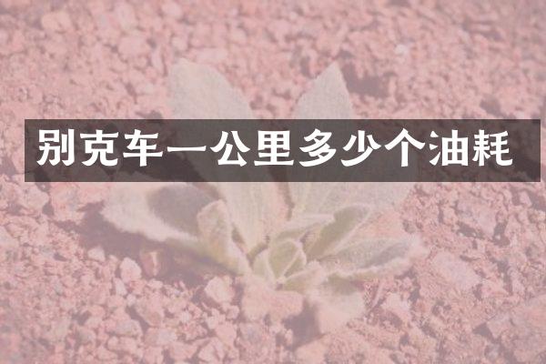 别克车一公里多少个油耗