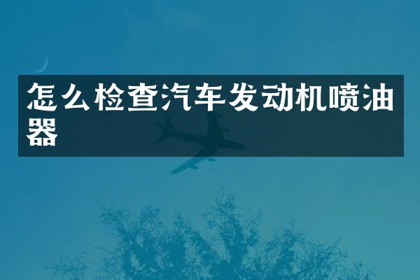 怎么检查汽车发动机喷油器