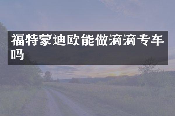 福特蒙迪欧能做滴滴专车吗