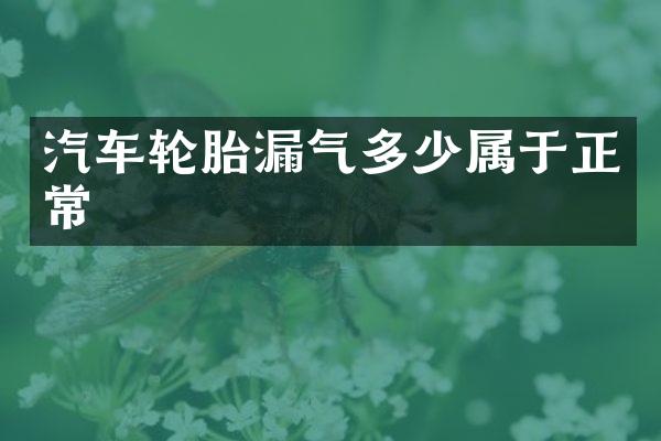汽车轮胎漏气多少属于正常