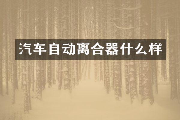 汽车自动离合器什么样