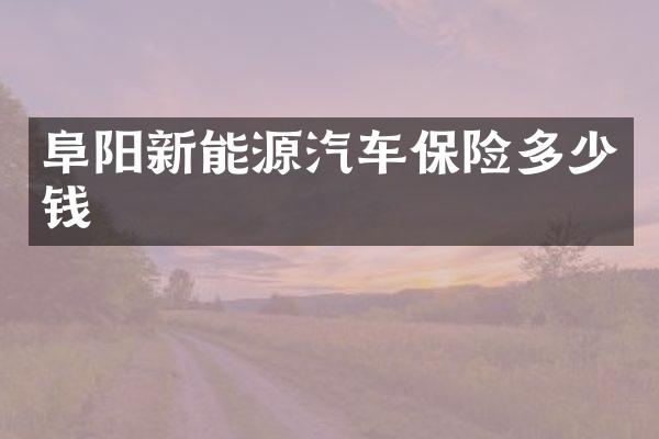 阜阳新能源汽车保险多少钱