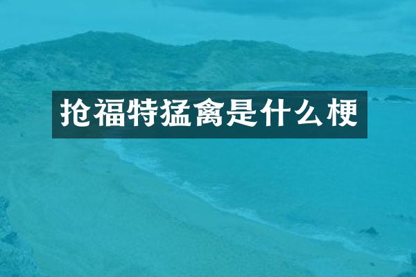 抢福特猛禽是什么梗