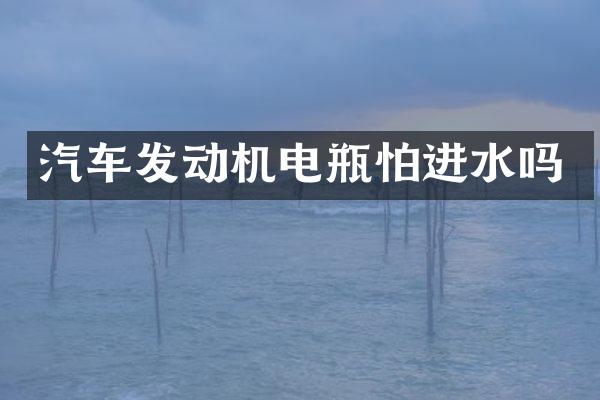 汽车发动机电瓶怕进水吗