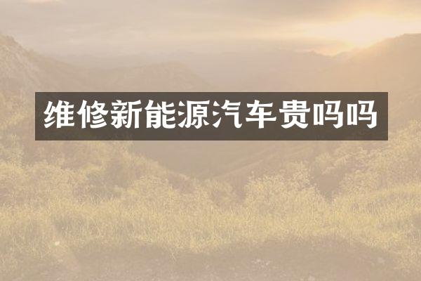 维修新能源汽车贵吗吗