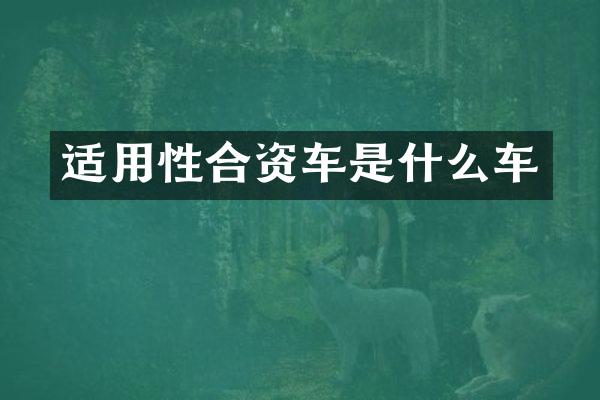 适用性合资车是什么车