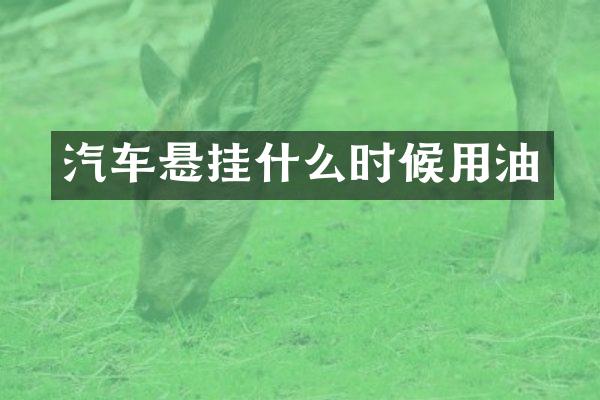 汽车悬挂什么时候用油
