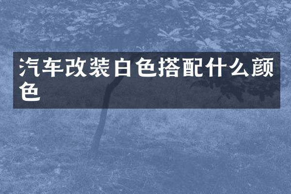 汽车改装白色搭颜色