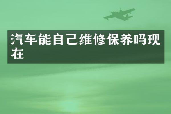 汽车能自己维修保养吗现在