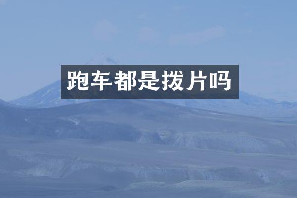 跑车都是拨片吗