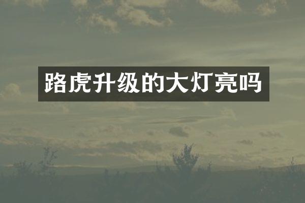 路虎升级的大灯亮吗