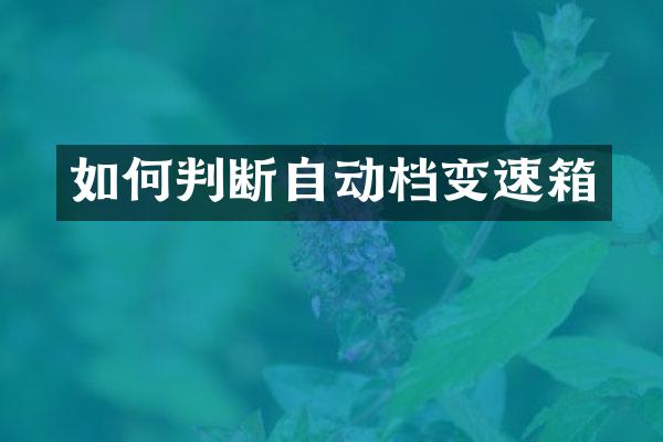 如何判断自动档变速箱