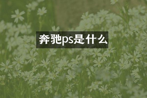 奔驰ps是什么