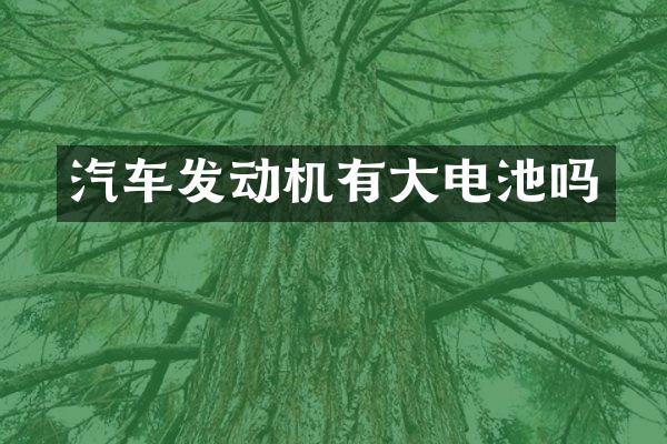 汽车发动机有大电池吗