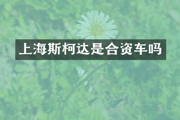 上海斯柯达是合资车吗