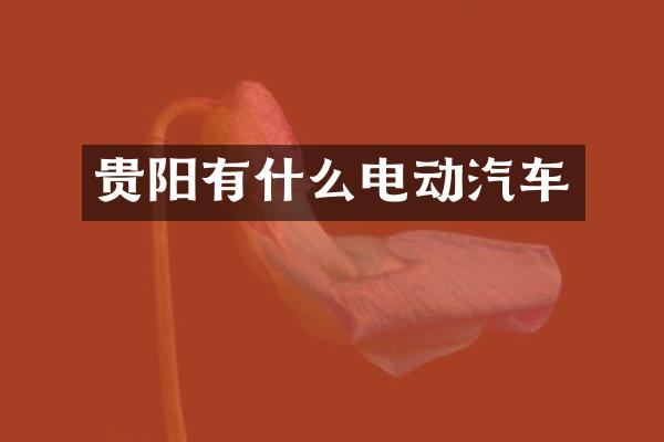 贵阳有什么电动汽车