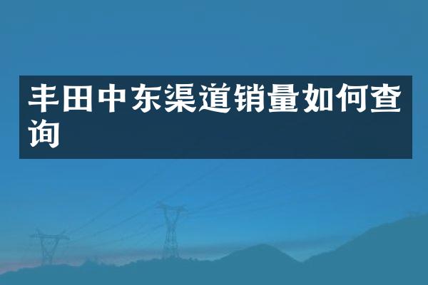 丰东渠道销量如何查询