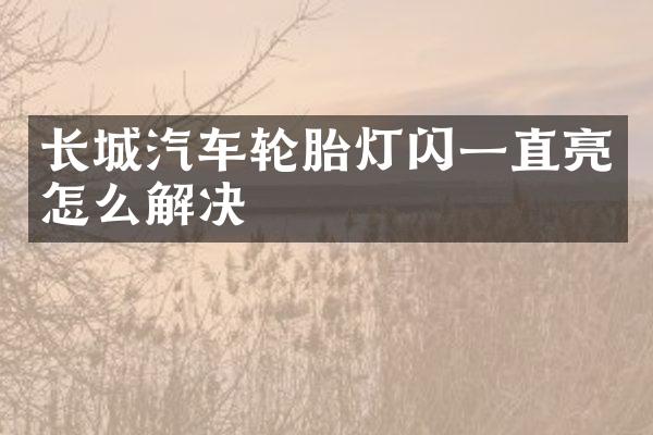 长城汽车轮胎灯闪一直亮怎么解决