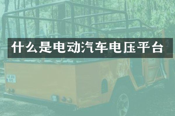 什么是电动汽车电压平台
