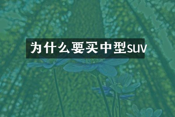 为什么要买中型suv