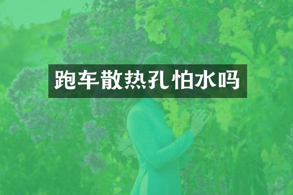 跑车散热孔怕水吗