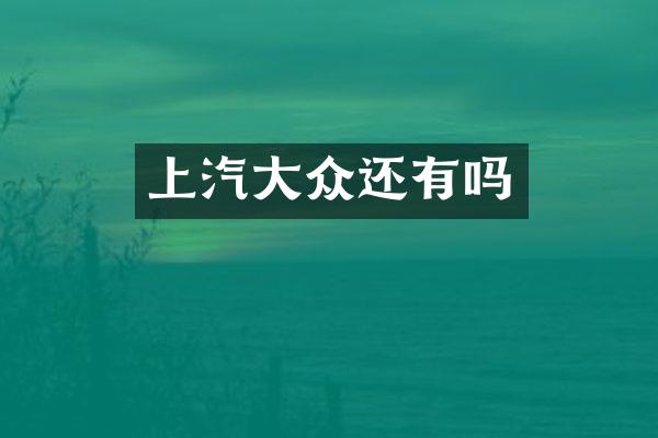 上汽大众还有吗