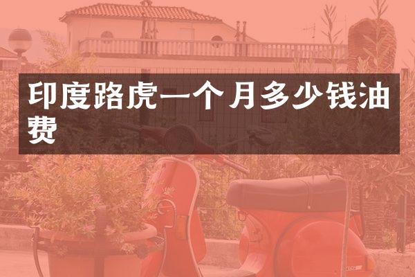 印度路虎一个月多少钱油费