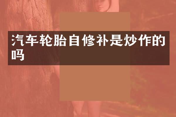 汽车轮胎自修补是炒作的吗