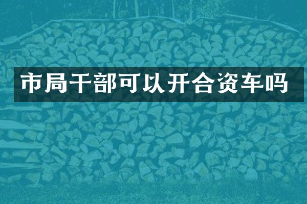 市局干部可以开合资车吗