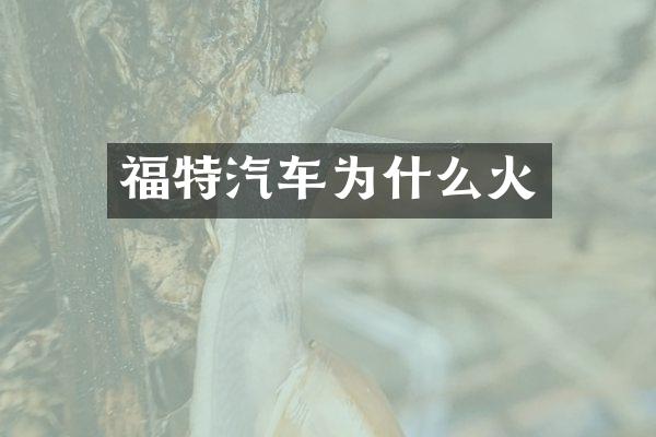 福特汽车为什么火