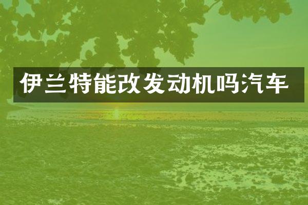 伊兰特能改发动机吗汽车