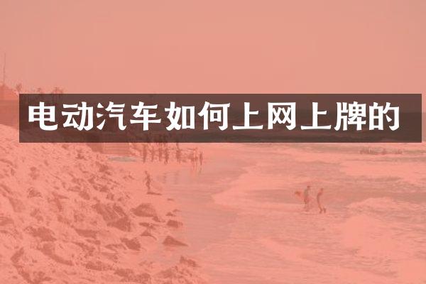 电动汽车如何上网上牌的