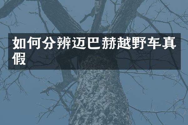 如何分辨迈巴赫越野车真假